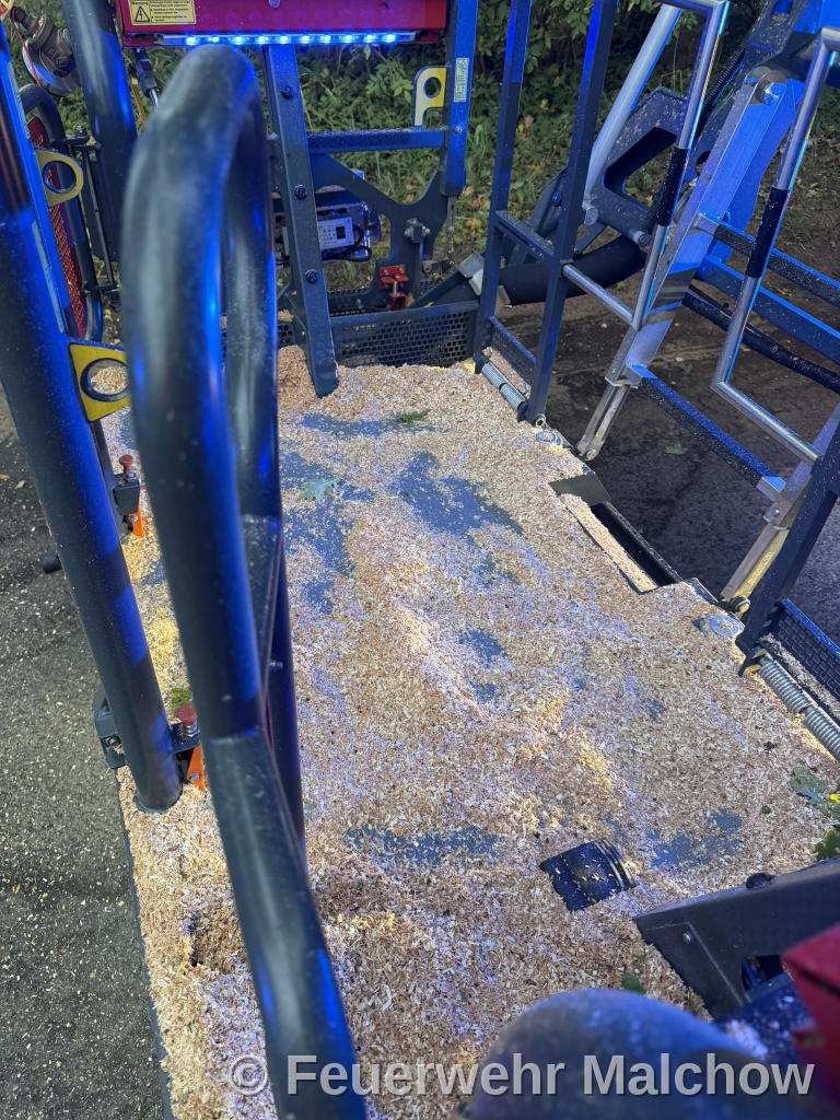 DLK Einsatz - Baum über Straße