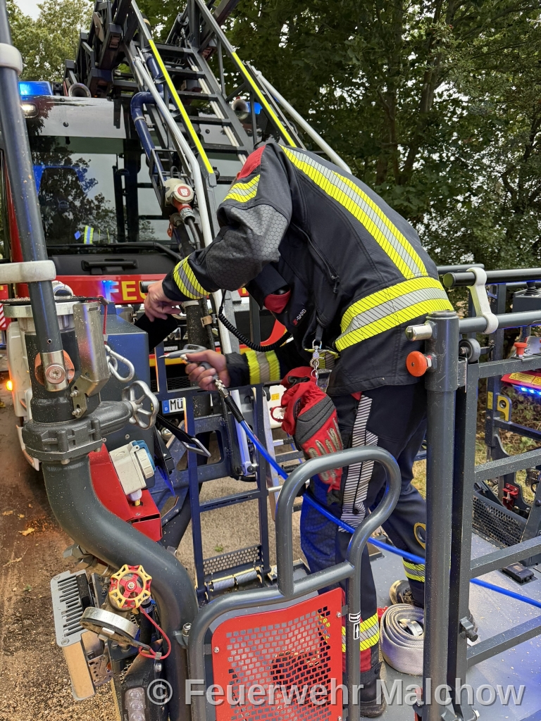DLK Einsatz - Baum über Straße